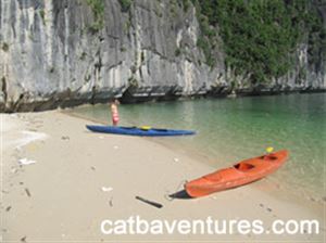 cat ba travel agency