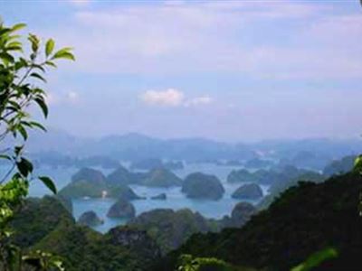 Cat Ba National Park - Trekking - Kayaking (2 days / 1 night)