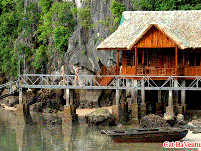 Bungalow in Cat Ba island, Ha Long Bay, Camping in Cat Ba, Ha Long Bay