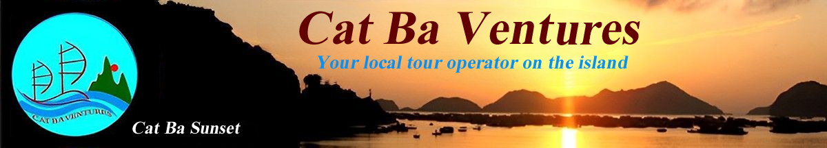 cat ba travel agency