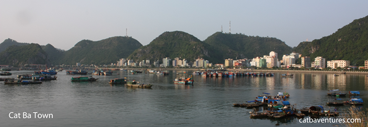 Hotels in Cat Ba Island