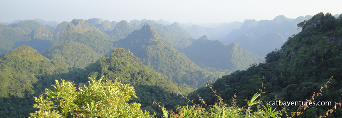 Cat Ba Island Tours