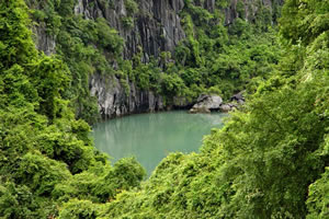 Cat Ba National Park