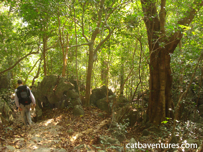 Cycling in cat ba, Cat Ba National Park ( half day) 2