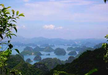 Trekking in Cat Ba National park, Kayaking in Cat Ba 1