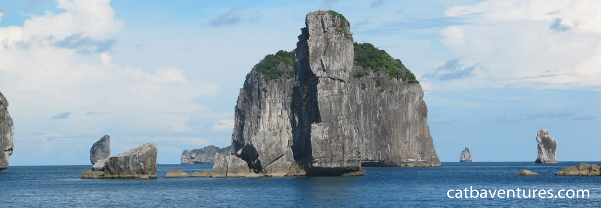 cruise around halongbay