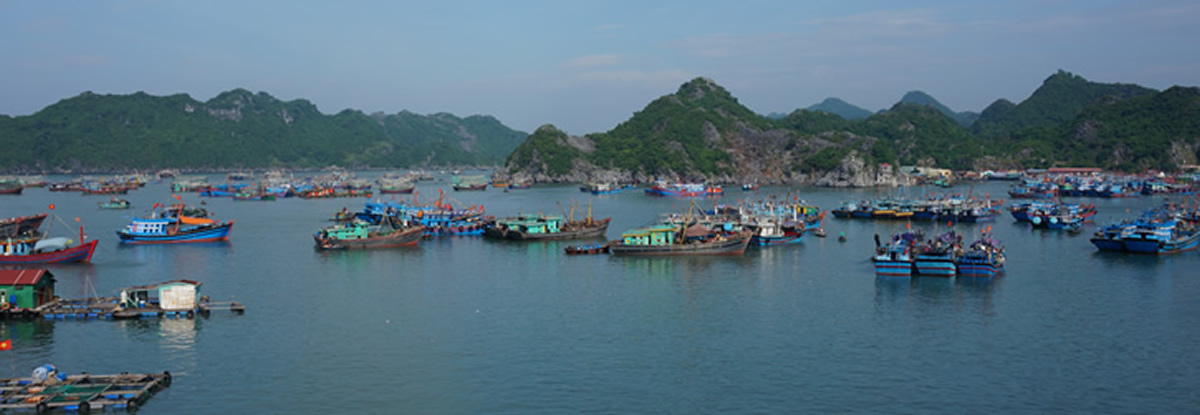 Cat ba Island Tour - Cat Ba Inland Hotels - Cat Ba Island Restaurants
