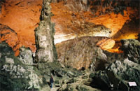  Thien Long Cave, Visit Mangrove Forest 2
