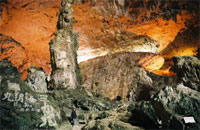 Thien Long Cave, Visit Mangrove Forest 2