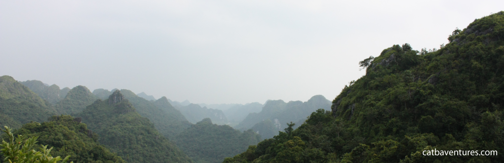 Cycling in cat ba, Cat Ba National Park ( half day)